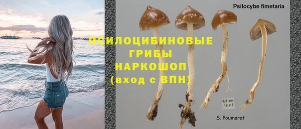 гашишное масло Аркадак