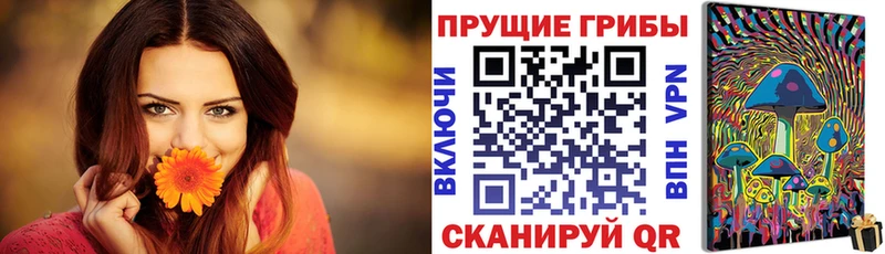 KRAKEN ссылки  Салехард  Галлюциногенные грибы прущие грибы  где продают  