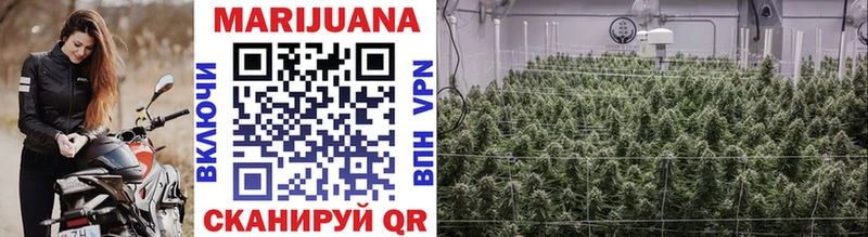 Шишки марихуана SATIVA & INDICA  hydra онион  Салехард 
